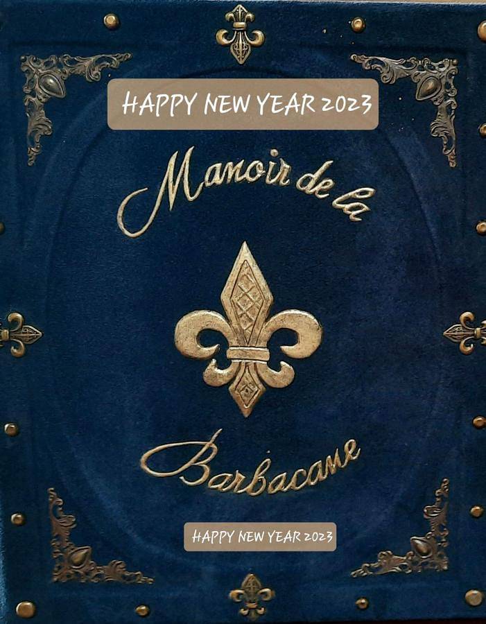 Hôtel pour 2 personnes, avec vue et piscine ainsi que jardin et bassin pour enfant à Tiffauges - 2