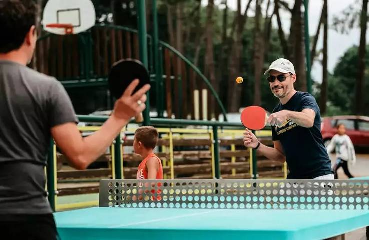 Camping pour 6 personnes, avec piscine et terrasse, animaux acceptés en Normandie - 3
