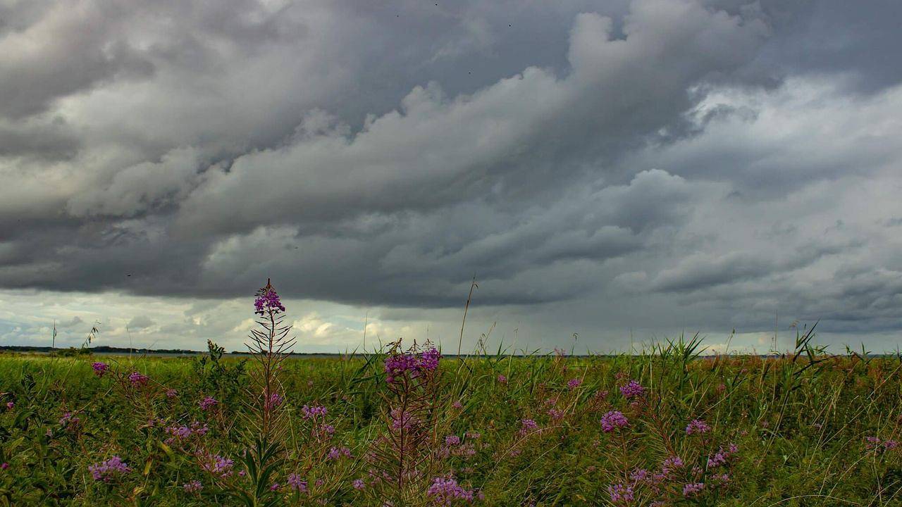 Ferienhaus für 6 Personen (66 m²) in Nibe in Klitgårds Fiskerleje, Limfjord in Nordjütland