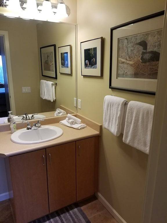 Ganze Wohnung, Mount Washington Studio in Mount Washington (BC)