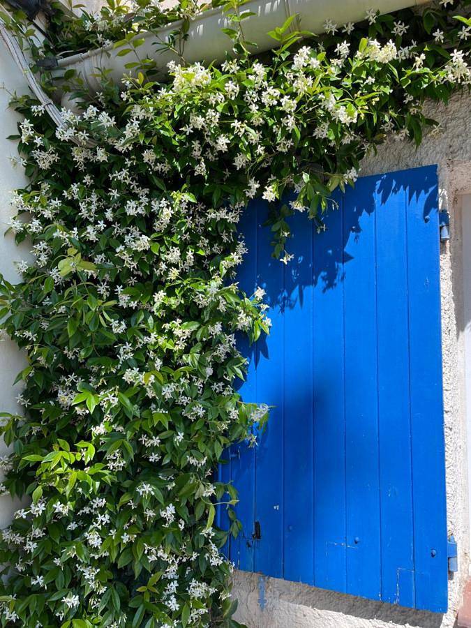 Gîte pour 6 personnes dans Gare Du Grau Du Roi - 3