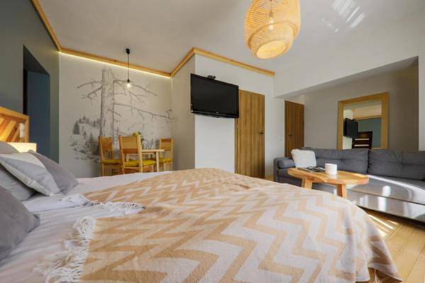 Cały apartament wypoczynkowy, Small Double Room in Szaflary, Karpaty (Polska)