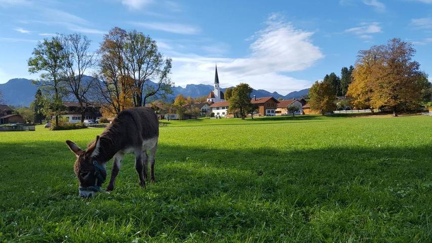 Ferienwohnung für 2 Personen, mit Ausblick und Terrasse sowie Garten in Wackersberg - 4