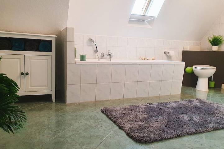 Ganze Wohnung, Rittergut Dornreichenbach - Ferienwohnung in Falkenhain, Lossatal