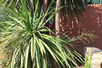 Cottage for 4 People in Sant'Andrea (Cagliari), Cagliari Province, Photo 4