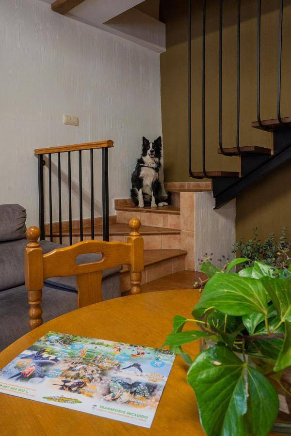 Apartamento de vacaciones para 3 personas, con jardín y piscina además de vistas al lago y vistas en La Manchuela - 4