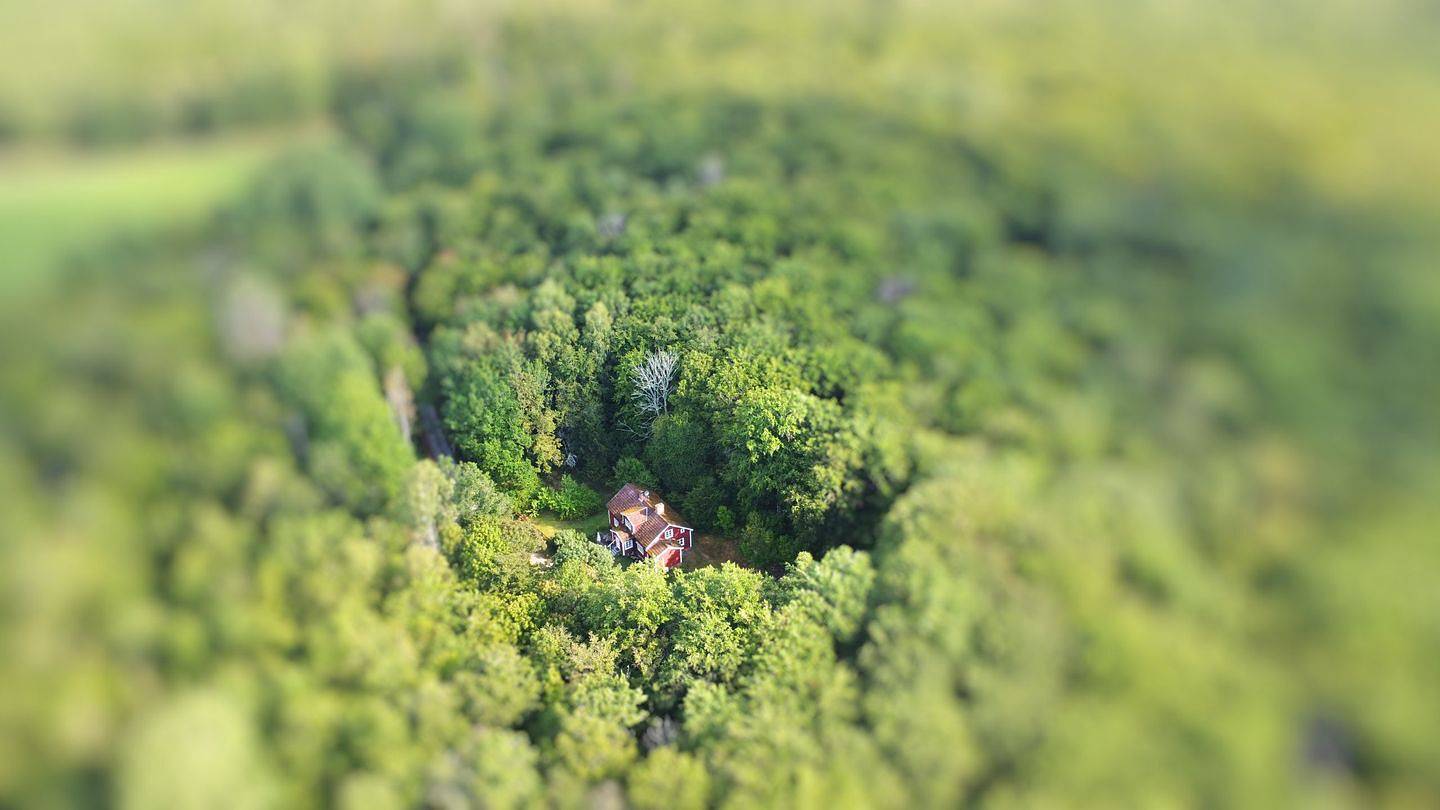 Secluded Forest Cottage in Smaland with Fenced Garden in Högsby