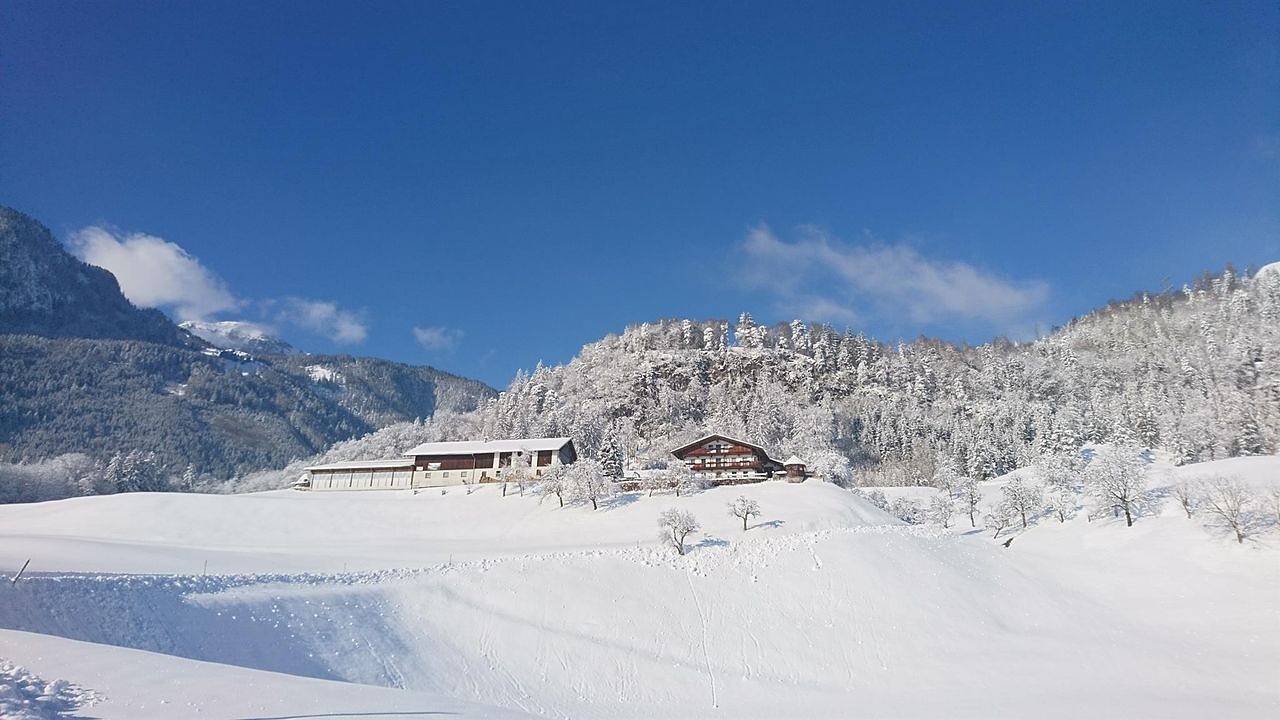 Ganze Ferienwohnung, Ferienwohnung für 5 Personen (75 m²) in Kramsach in Kramsach, Kufstein Umgebung