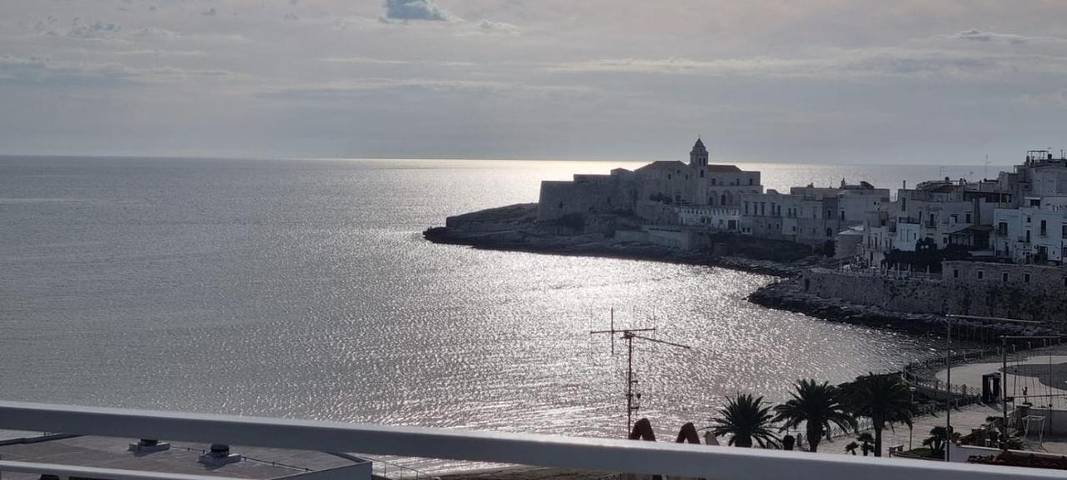 Maison d’hôte pour 2 personnes, avec terrasse, animaux acceptés à Vieste - 2