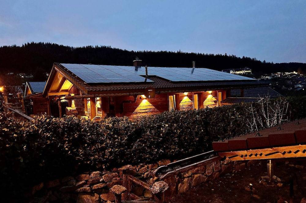 Ganze Wohnung, Gemütliche Almhütte (80qm) mit eigenem Wellnessbereich in Zwiesel, Ostbayern