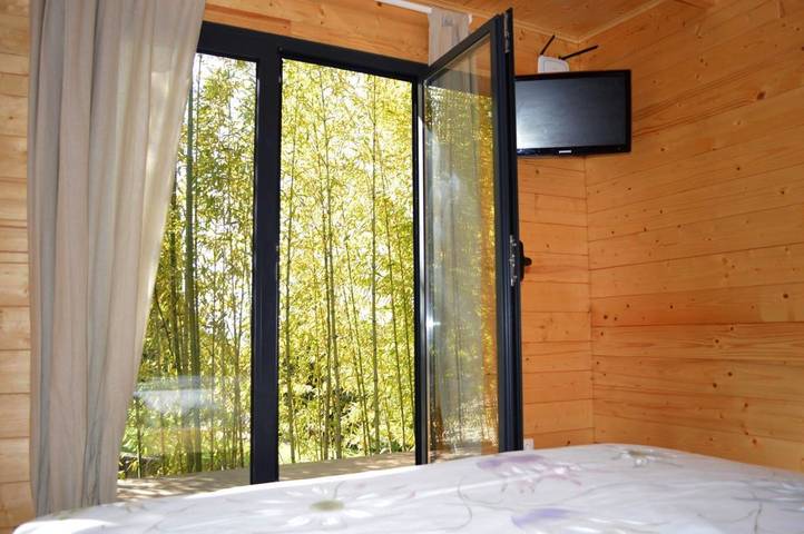 Gîte pour 2 personnes, avec jardin et vue dans Águeda - 4