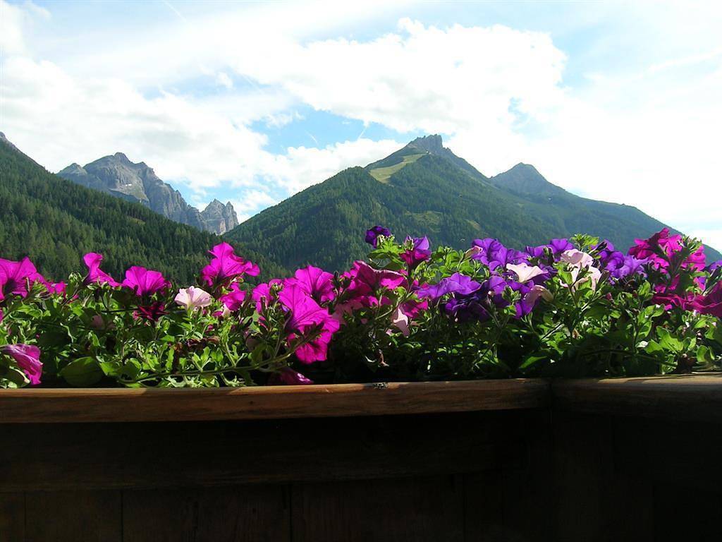 Ganze Ferienwohnung, Sonjas Appartement in Stubaier Alpen, Neustift im Stubaital
