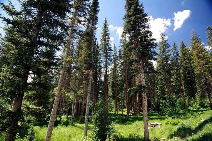 Vacation house for 8 people, with hot tub and balcony in Winter Park