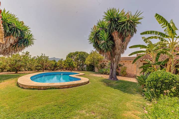 Finca mit Hund für 6 Personen, mit Terrasse in Pollença - 4