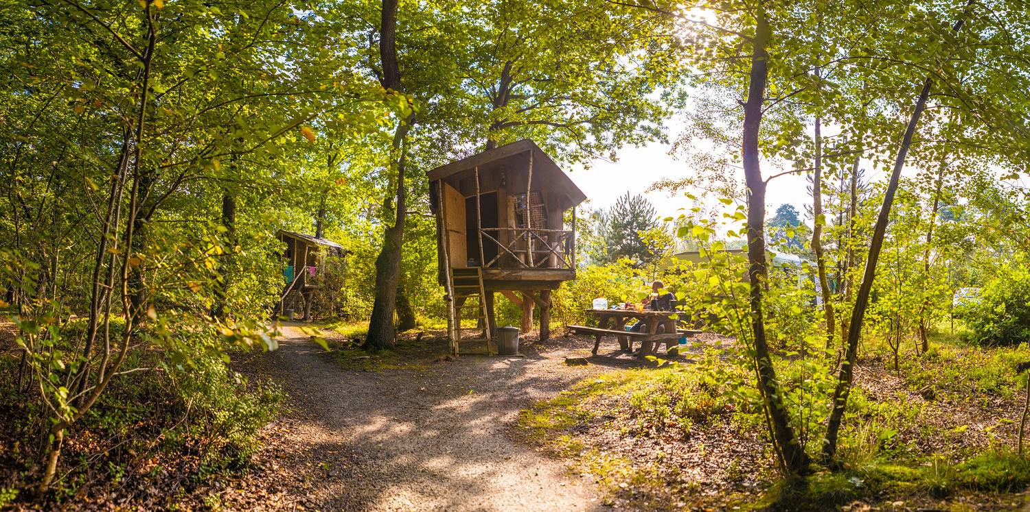 Camping en Bungalowpark de Norgerberg — Baumhaus in Drenthe