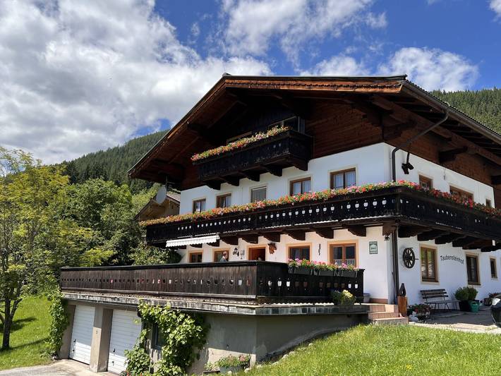 Ferienwohnung für 11 Personen, mit Balkon und Terrasse sowie Garten und Ausblick in Neukirchen am Großvenediger