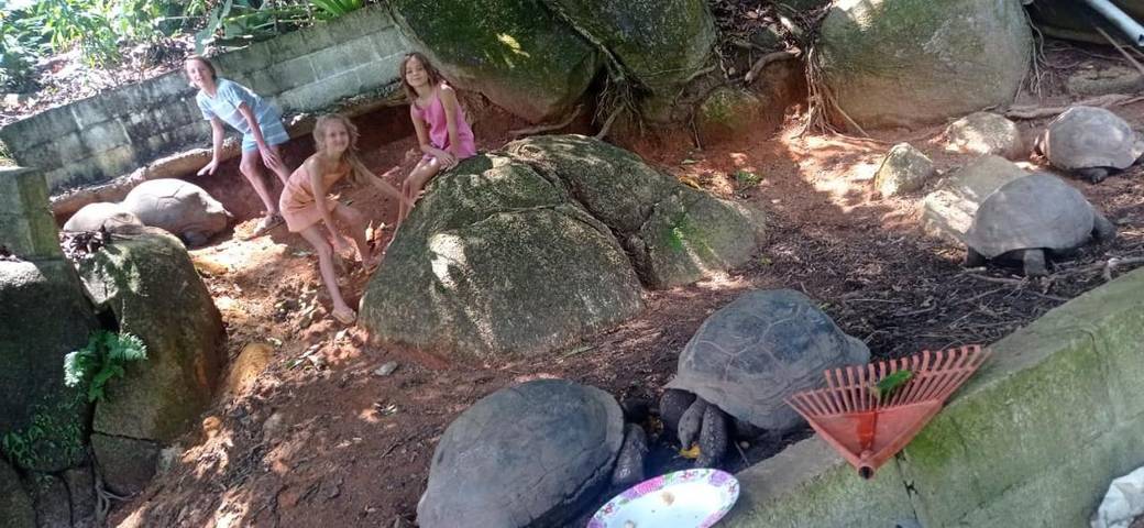 Gîte pour 5 personnes, avec jardin dans Takamaka - 3