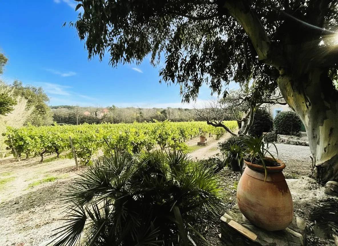 Authenticité & Sérénité au Cœur des Vignes maison mitoyenne T3 à Ramatuelle in Ramatuelle, Mittelmeerküste (Frankreich)