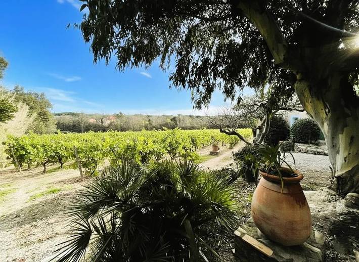 Location de vacances pour 4 personnes, avec piscine et terrasse à Ramatuelle - 3