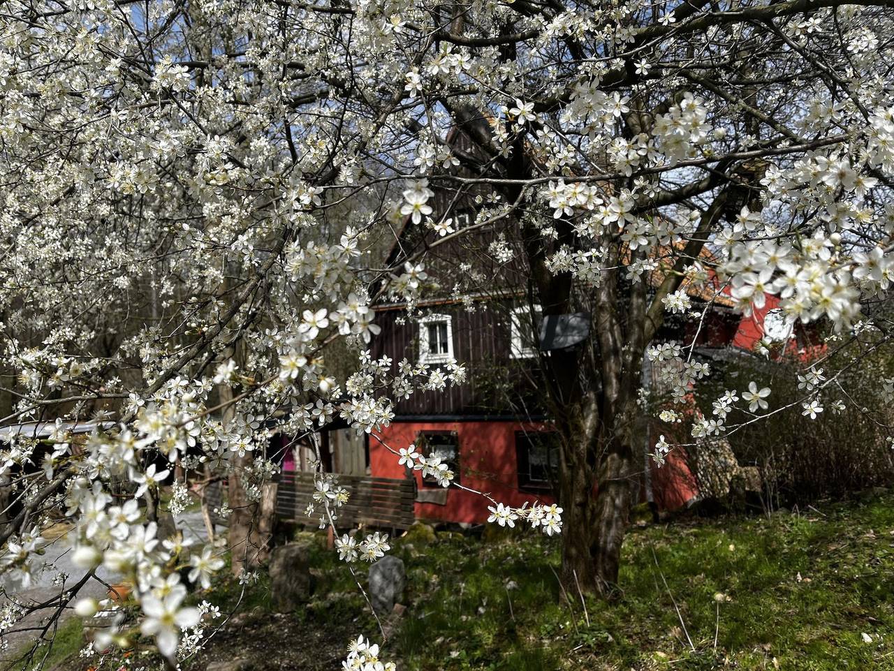 Ganze Ferienwohnung, Ferienwohnung "An der schönen Bahra" - Ferienwohnung, 2 Schlafräume in Bad Gottleuba-Berggießhübel, Elbsandsteingebirge