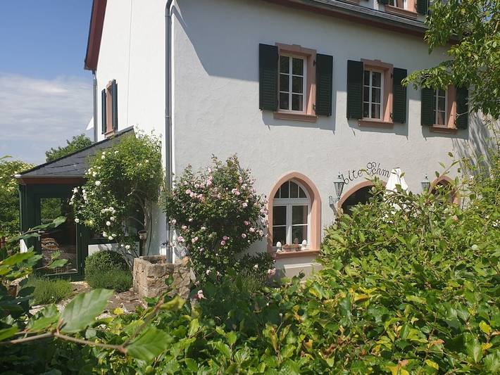 Ferienhaus für 4 Personen, mit Garten in Bad Bertrich - 3