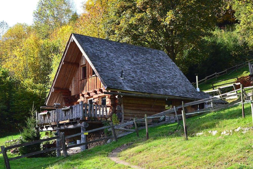 Chalet du bucheron entièrement en rondins in Le Hohwald, Region Sélestat-Erstein
