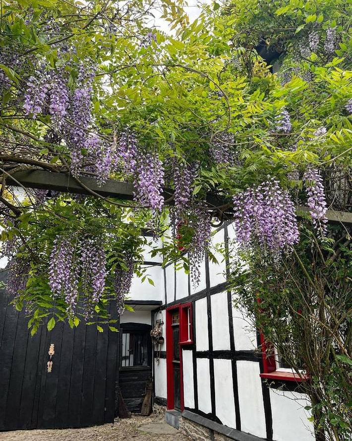 Ferienhaus für 8 Personen, mit Ausblick und Terrasse sowie Garten und Seeblick, mit Haustier in Simmerath - 3
