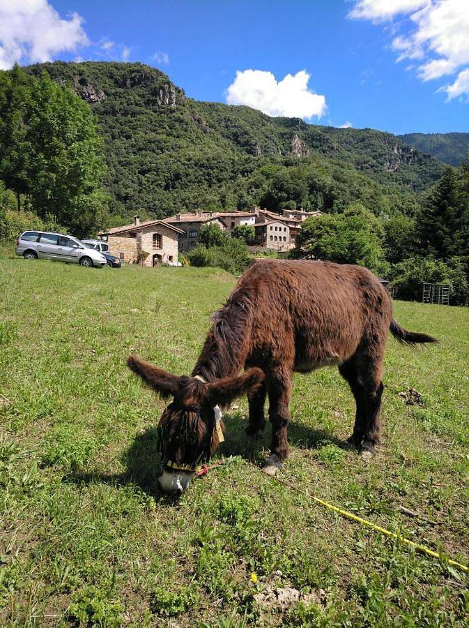 Casa rural para 18 personas, con jardín y vistas, Se admiten mascotas - 1
