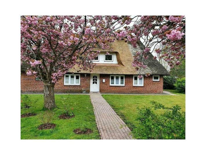 Ferienhaus für 4 Personen, mit Terrasse und Garten in Bordelum