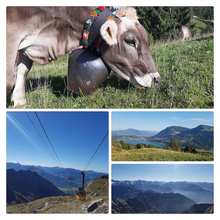 Ferienwohnung für 8 Personen, mit Garten am Großer Alpsee - 3