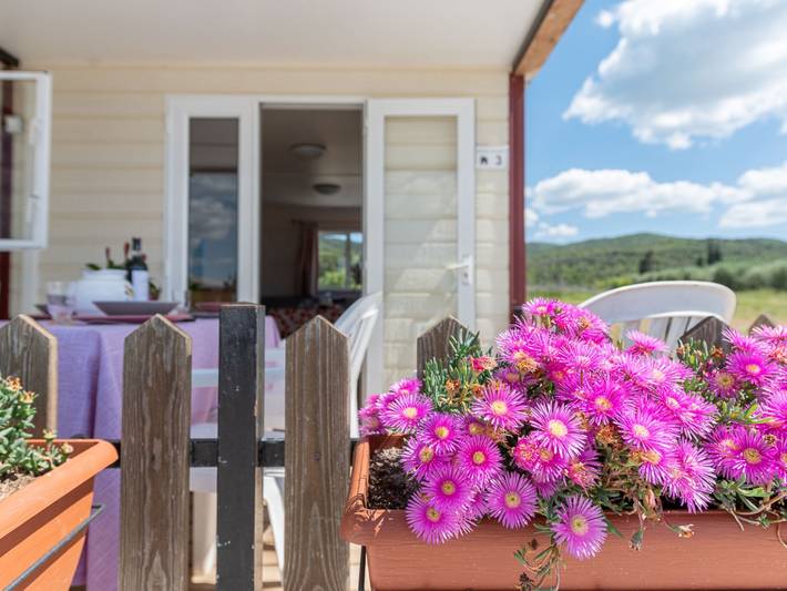 Ferienhaus für 4 Personen, mit Kinderpool und Garten in Grosseto Provinz - 4