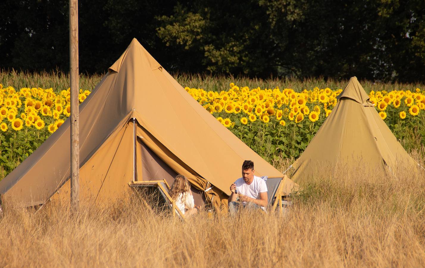 Vakantiepark Mölke — Pop-up glamping: Buurvrouws' Belltentje | 2-4 pers. in Sallandse Heuvelrug