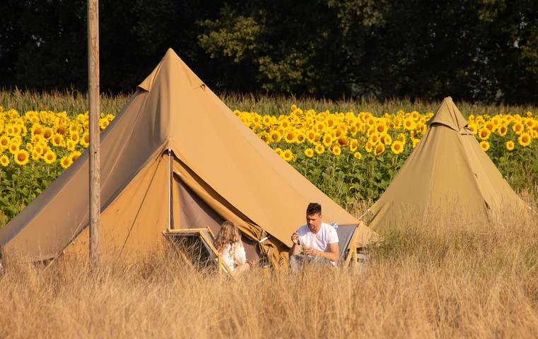 Camping voor 4 personen in Overijssel