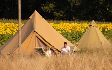 Camping für 4 Personen in Overijssel