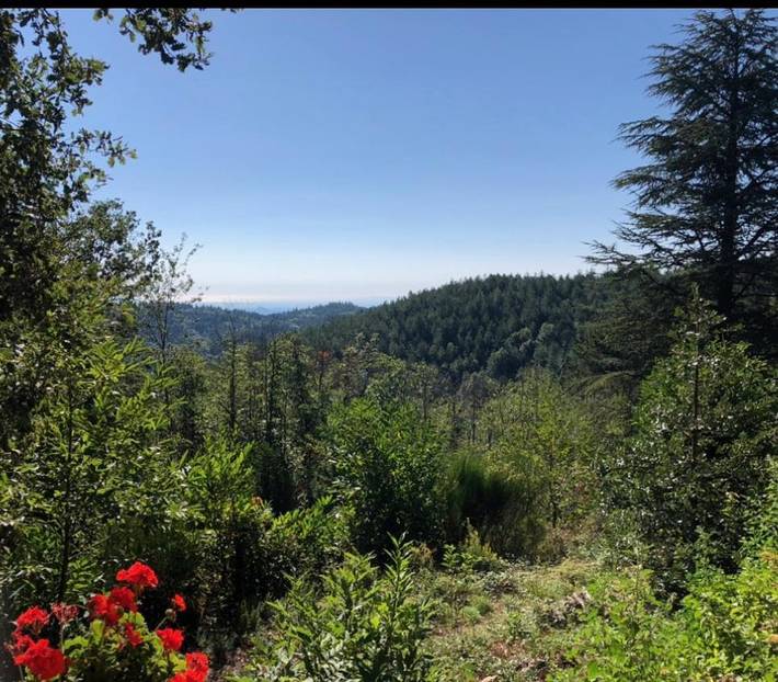 Location de vacances pour 2 personnes, avec vue et jardin à Saint-Laurent-de-Cerdans - 3