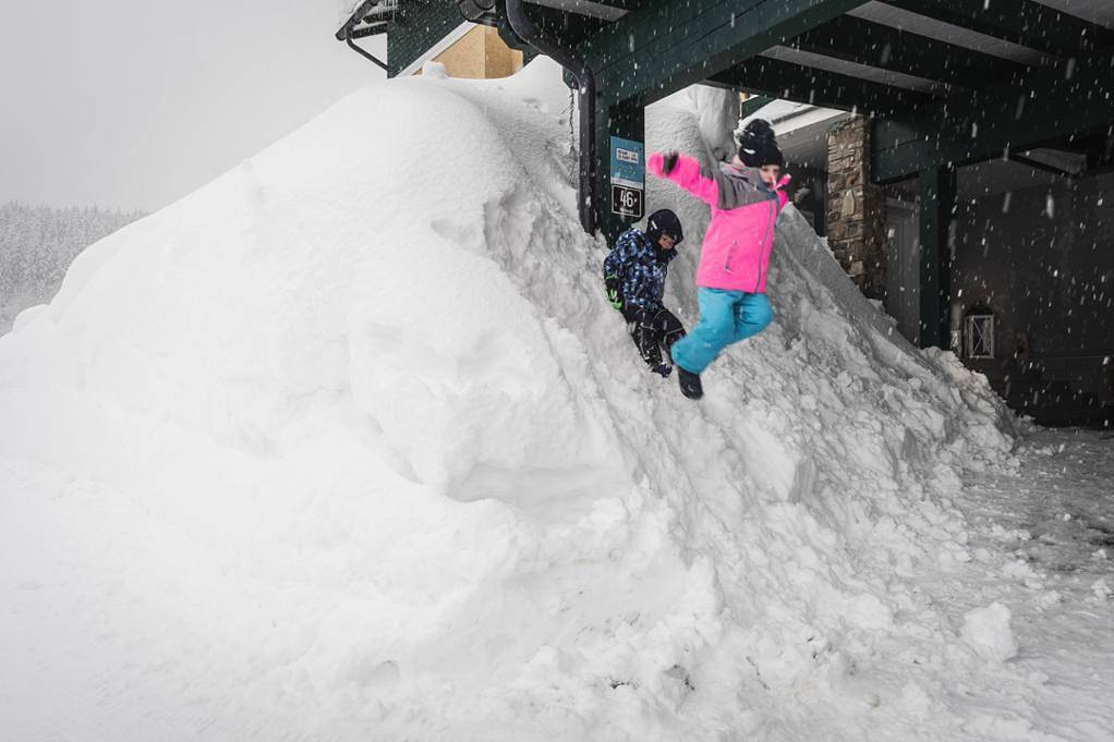 Ganze Wohnung, Ferienhaus Weitental - Waldblick in Lackenhof am Ötscher, Mostviertel Region