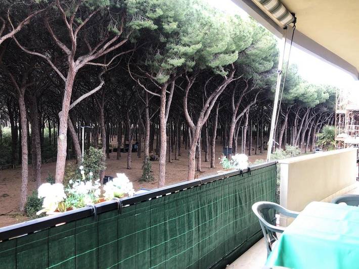 Appartamento vacanze per 6 persone, con terrazza - 1