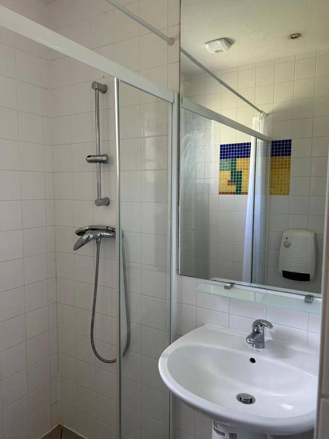 Station pour 6 personnes, avec vue et sauna ainsi que jardin et piscine, animaux acceptés à Châteauneuf-sur-Isère - 3