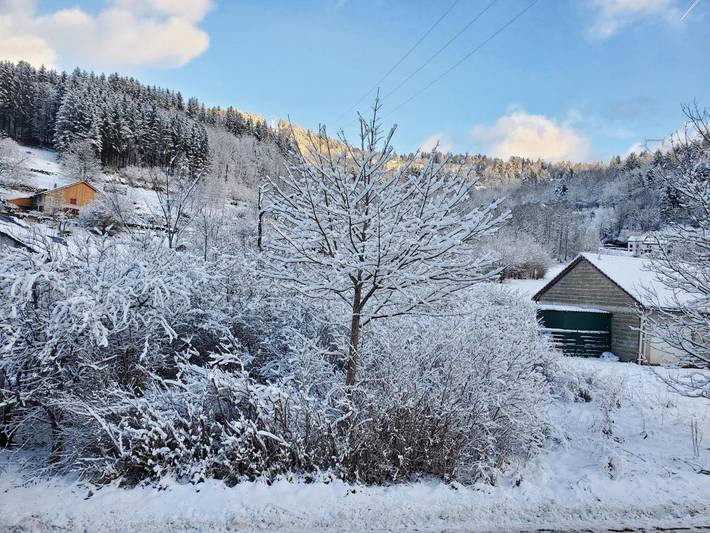 Gîte pour 6 personnes, avec jardin et vue à Plainfaing - 2