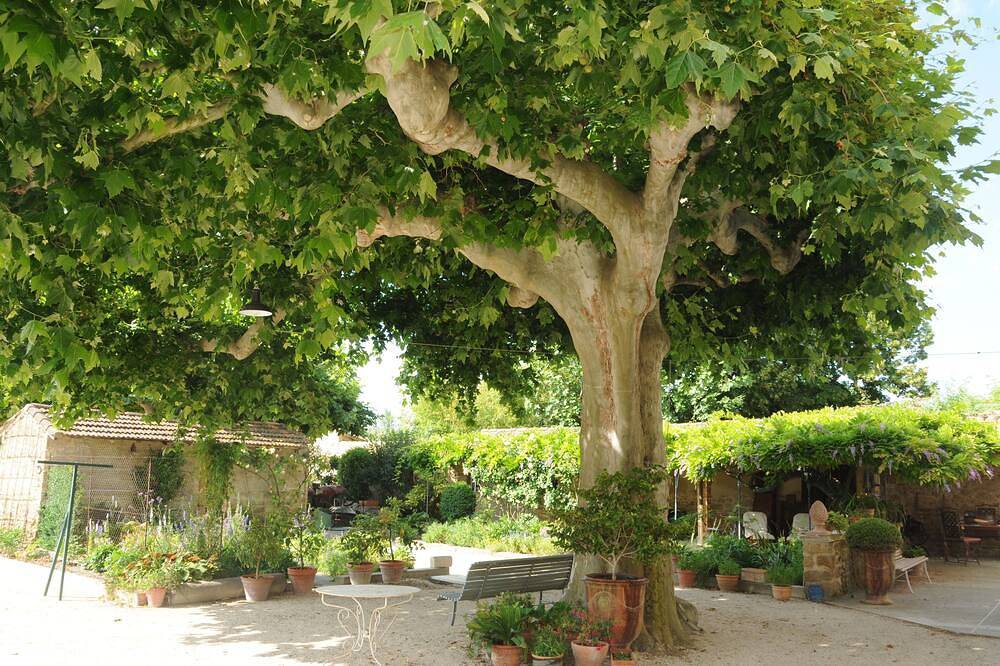 Gite Le 199 in Althen-des-Paluds, Vaucluse