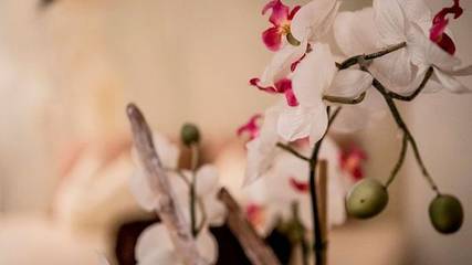 Hotel voor 4 Personen in Saint Lawrence, Mondsee & Irrsee, Afbeelding 2