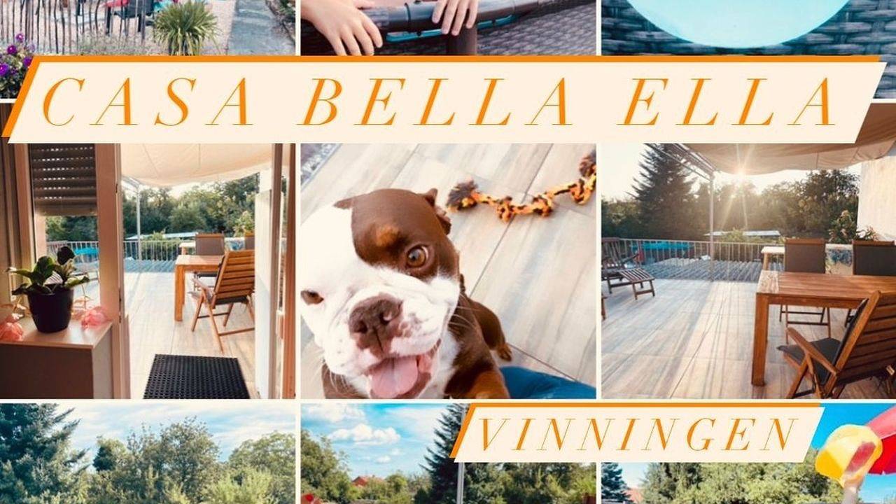 Ganze Ferienwohnung, Ferienwohnung für 5 Personen (72 m²) in Vinningen in Vinningen, Landkreis Südwestpfalz