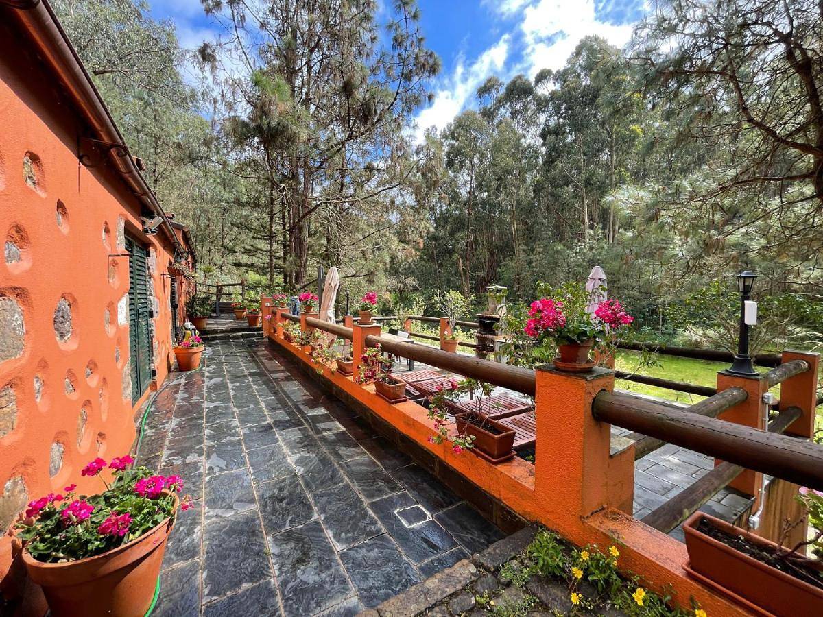 Casa Rural en medio del bosque, El Lance in El Zumacal, Firgas