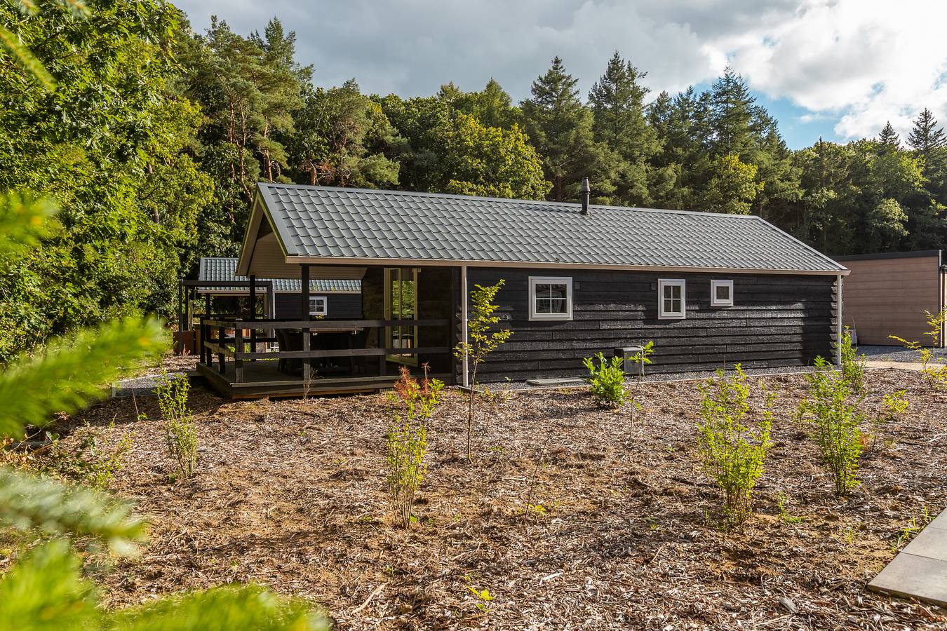 Vakantiepark De Wiltzangh — Veenborg Lodge | 4 persons in Parque Nacional de Dwingelderveld