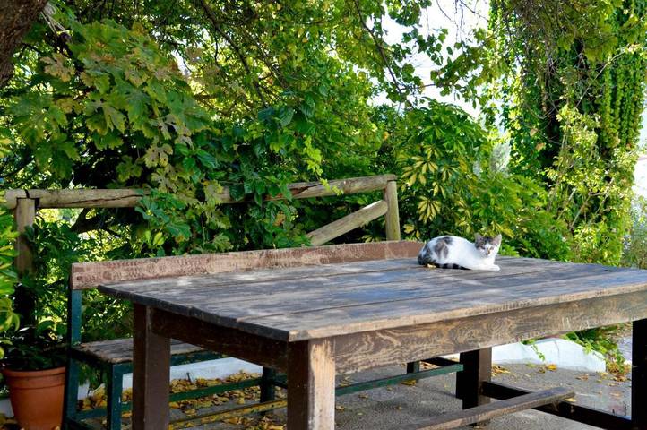 Casa rural para 45 personas, con vistas además de jardín y piscina, Se admiten mascotas en Algodonales - 2