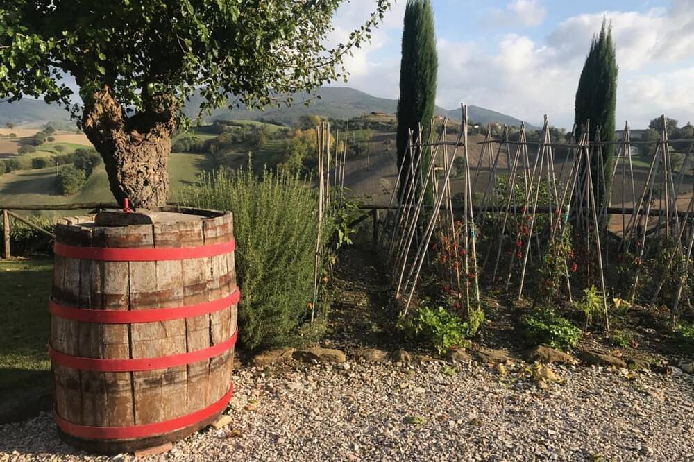 Ganze Wohnung, La Corte del Gusto - Der schwarze Maulbeerbaum Apt. mit Pool und einer atemberaubenden Aussicht in Arcevia, Ancona Provinz
