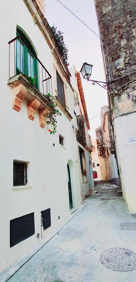 Ferienhaus für 2 Personen, mit Terrasse und Sauna sowie Ausblick, mit Haustier - 1