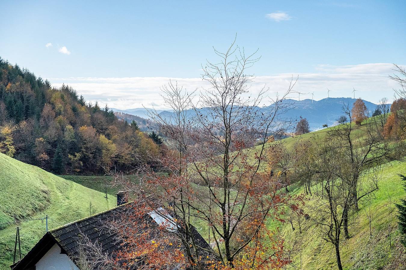 Ganze Wohnung, Ferienwohnung 'Sonnenschein' mit privater Terrasse, Gemeinschaftsgarten und Wlan in Gengenbach, Mittlerer Schwarzwald