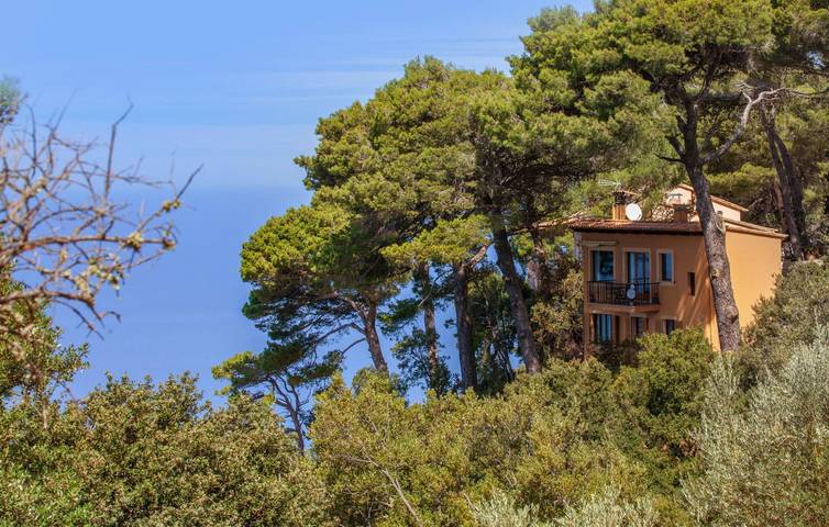 Finca für 4 Personen, mit Terrasse in Valldemossa - 2