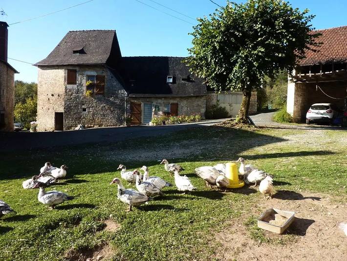 Gîte pour 6 personnes, avec terrasse à Turenne - 2